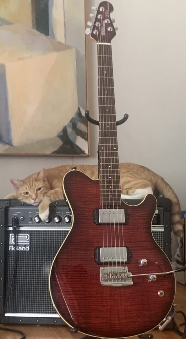 Louie the cat draped over a red semi-hollow electric guitar in front of an amplifier